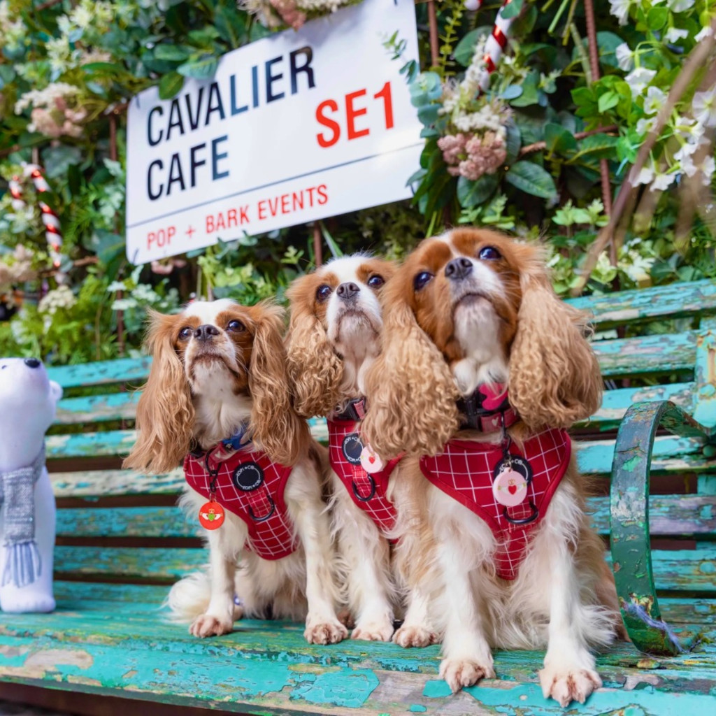 CAVALIER CAFE™ LONDON