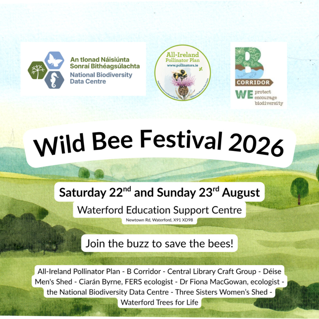 Wild Bee Festival 2026