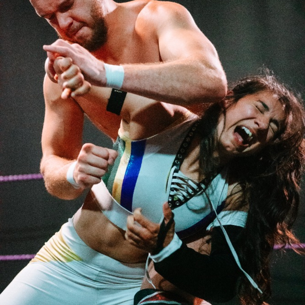 Pro Wrestling Ceasefire X PlayFight 2