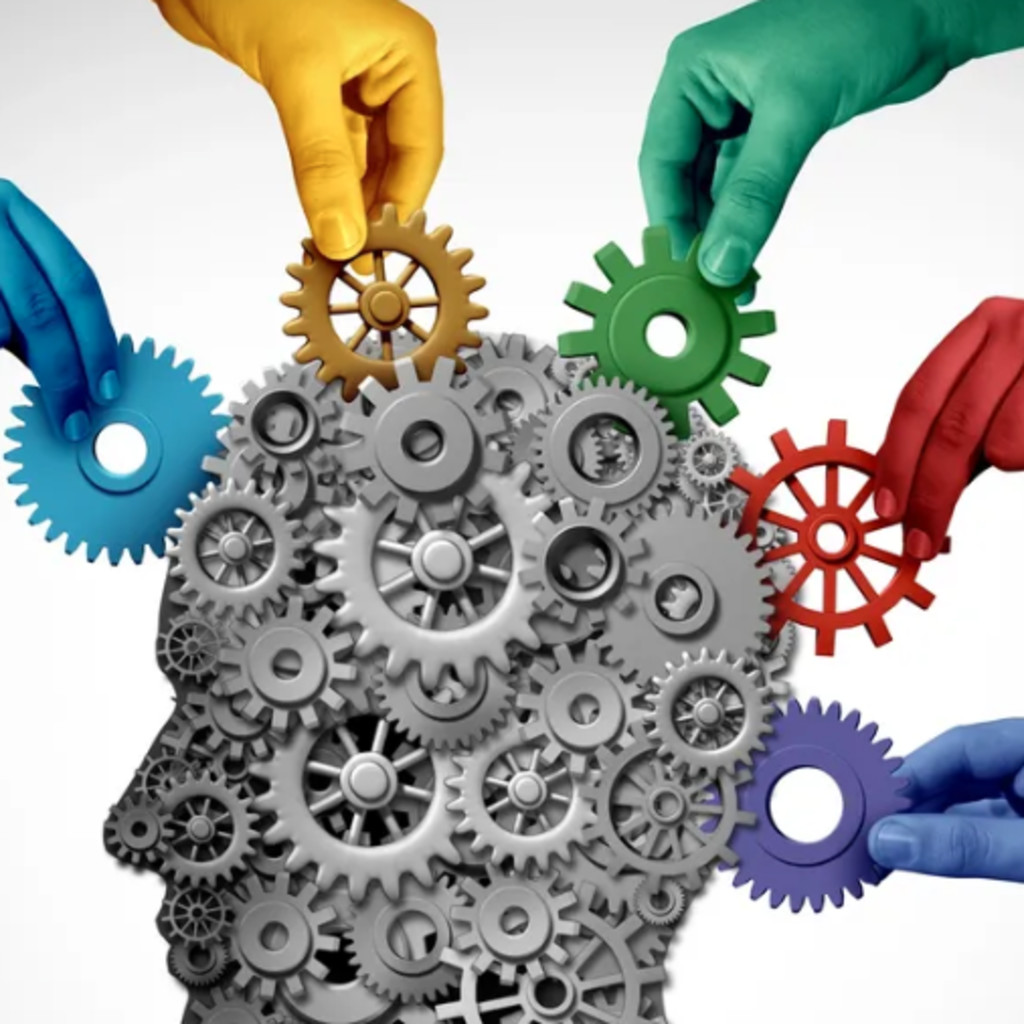 Beyond the Lesson: Executive Function, Regulation and the Science of Memory