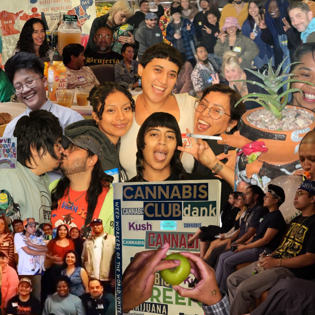 Potent Histories: Cultivating Queer Cannabis Narratives in the Digital-Analog Archive