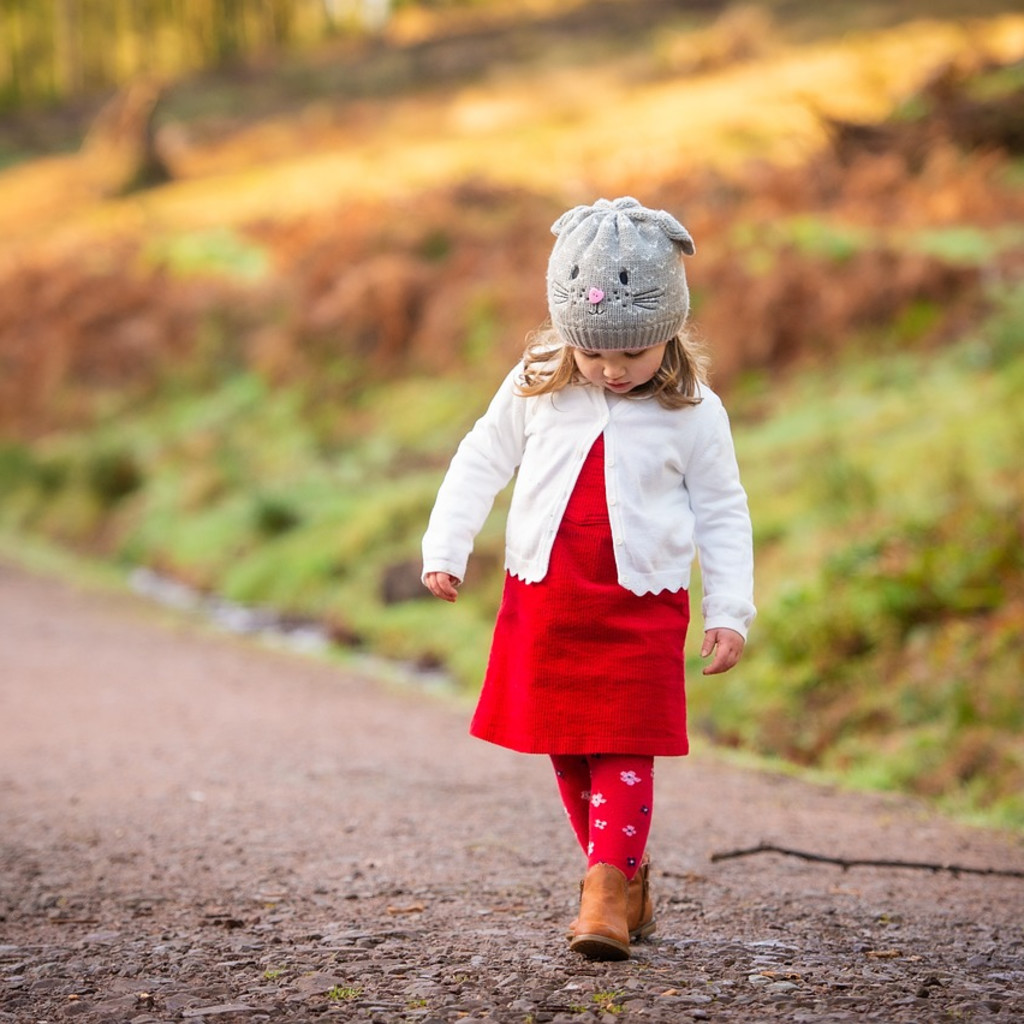 Supporting Children with Anxiety and Trauma - 18th October 2026 - £110