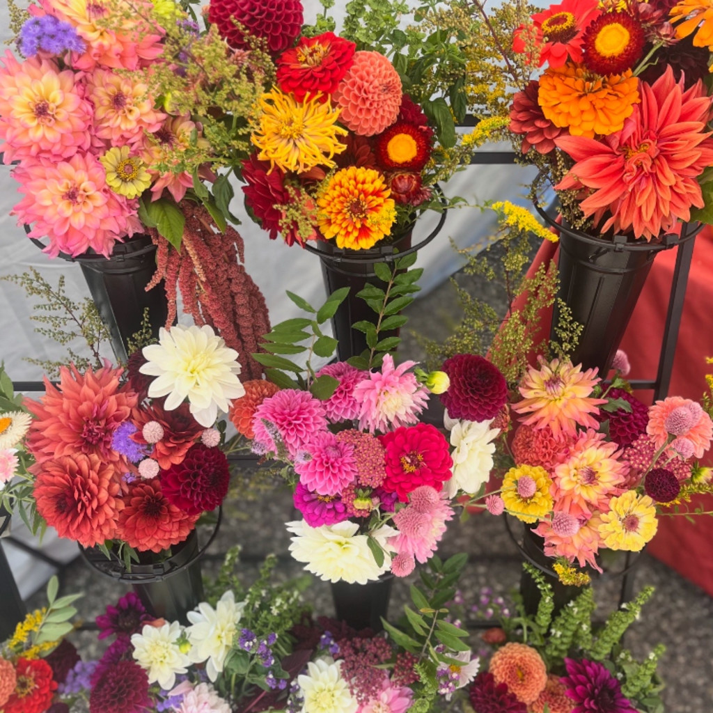 early spring florals