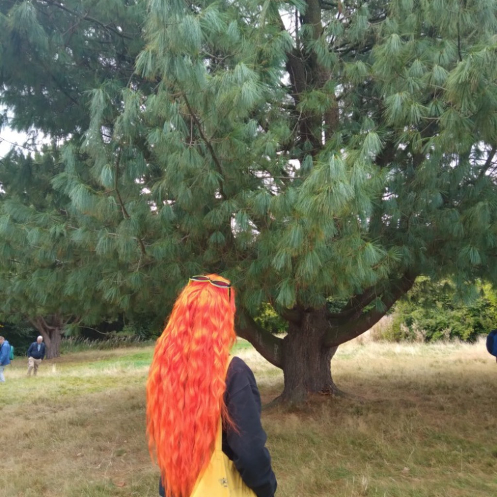 Tree Detectives Walk: Discovering Kirkcaldy’s Urban Trees