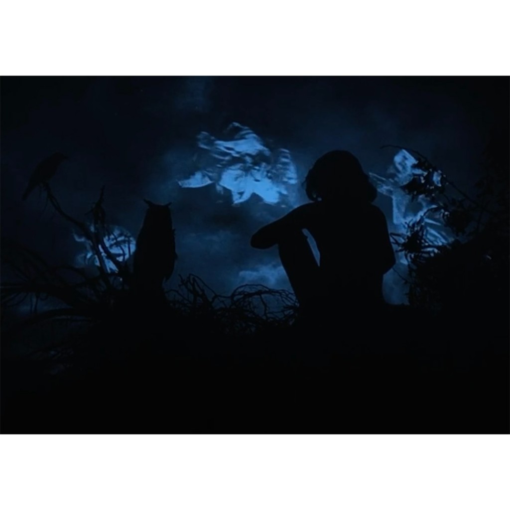 The Haunted Frame
