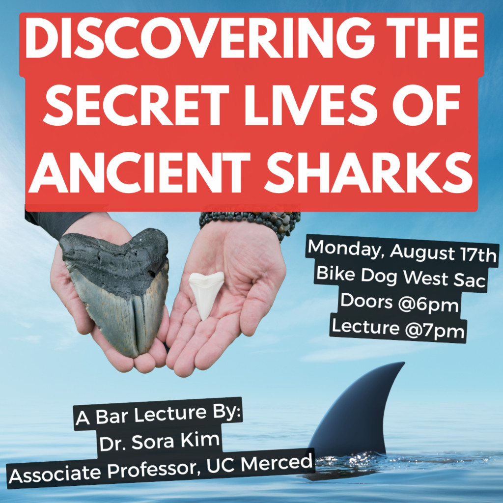 Discovering the secret lives of ancient sharks a bar lecture by dr. sora kim