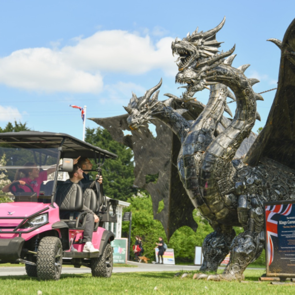 Safari Buggy Hire