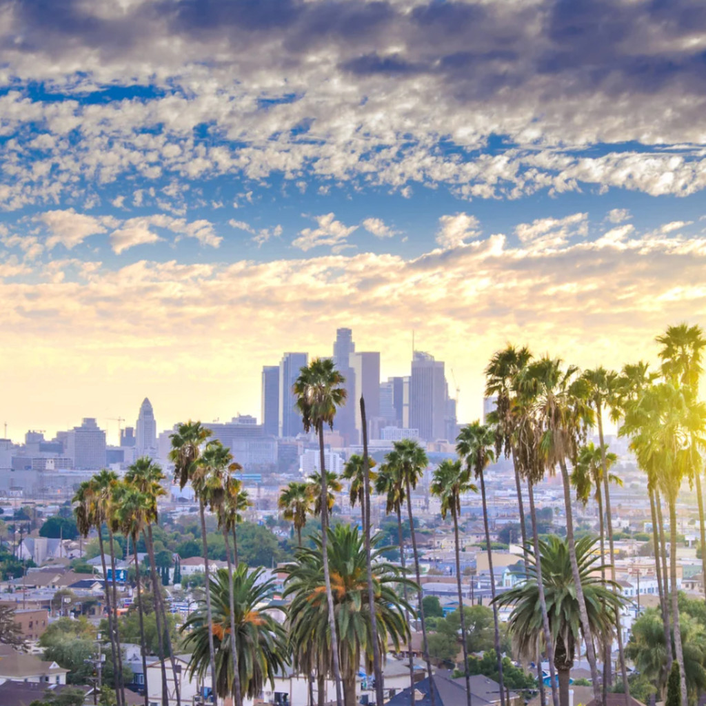 Downtown Los Angeles Skyline