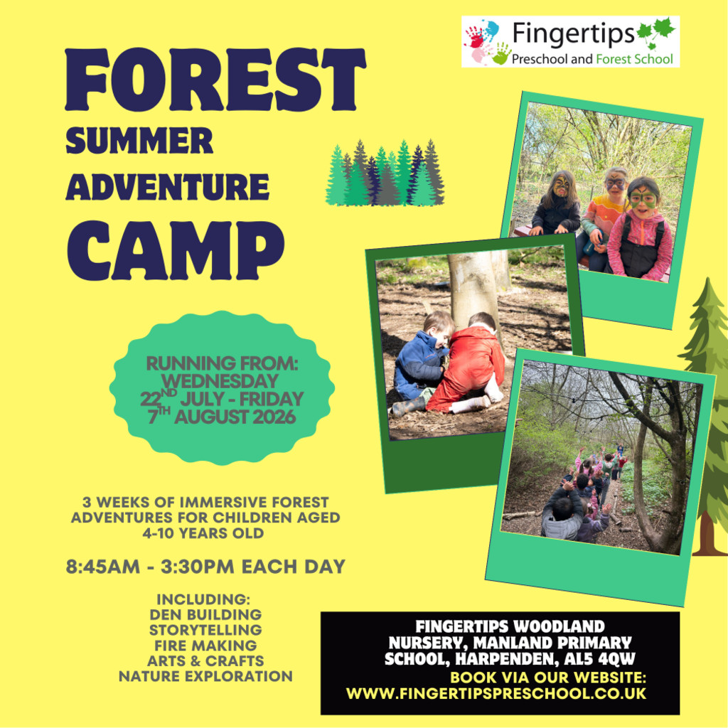 Fingertips Woodland Adventure Camp Week 2