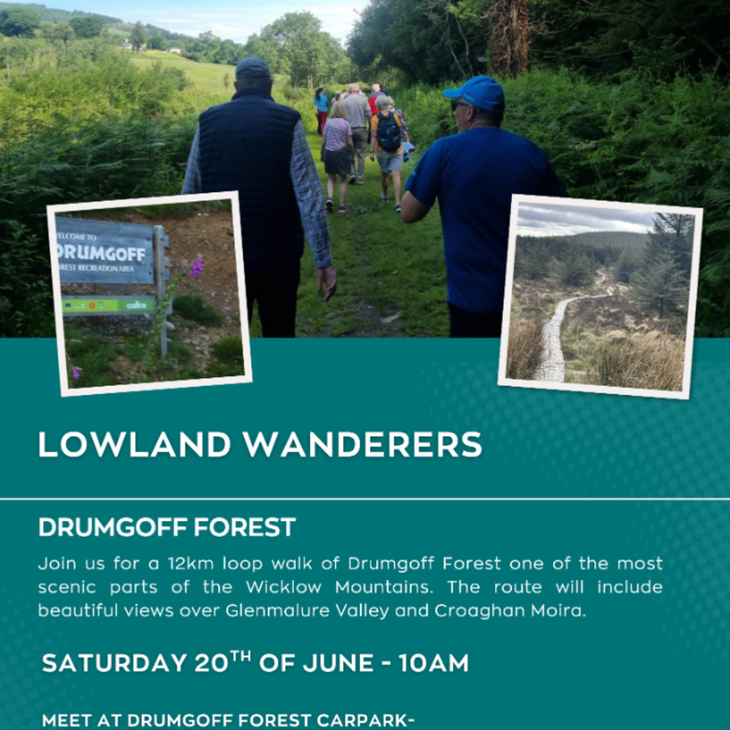 Lowland Wanderers: Drumgoff Forest