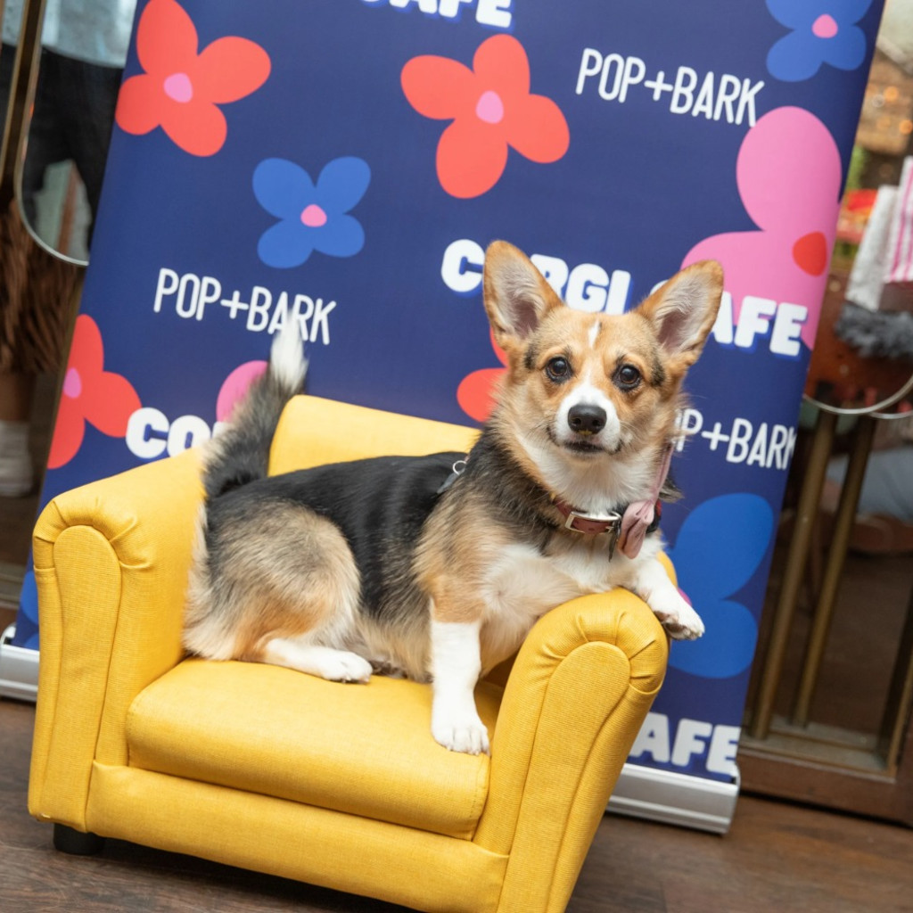 CORGI CAFE™ CARDIFF