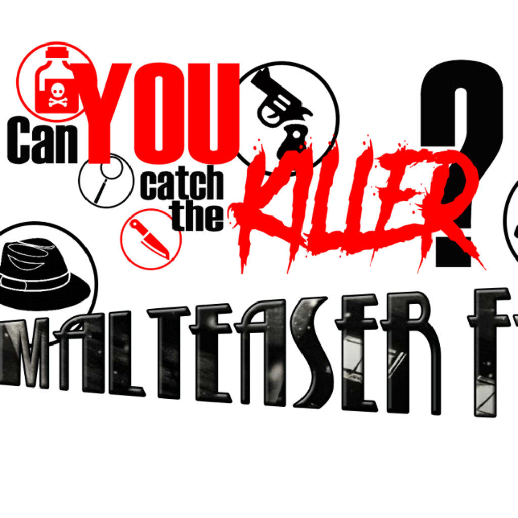 Can You Catch the Killer Murder Mystery Night: The Malteaser Falcon