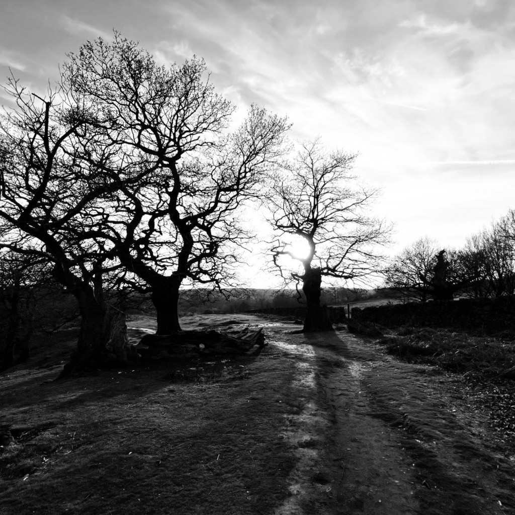 Hookland with David Southwell – In-Person Lecture