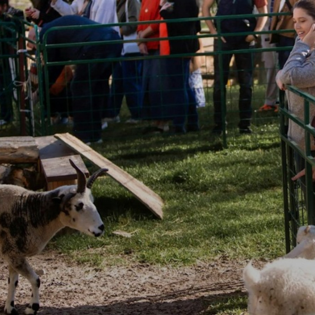 Farm Play