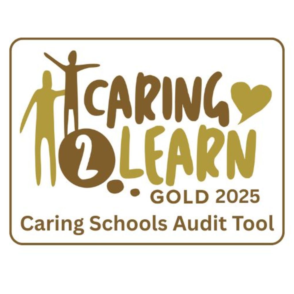 Caring Schools Audit Tool: Evaluating Good Practice in Education Settings