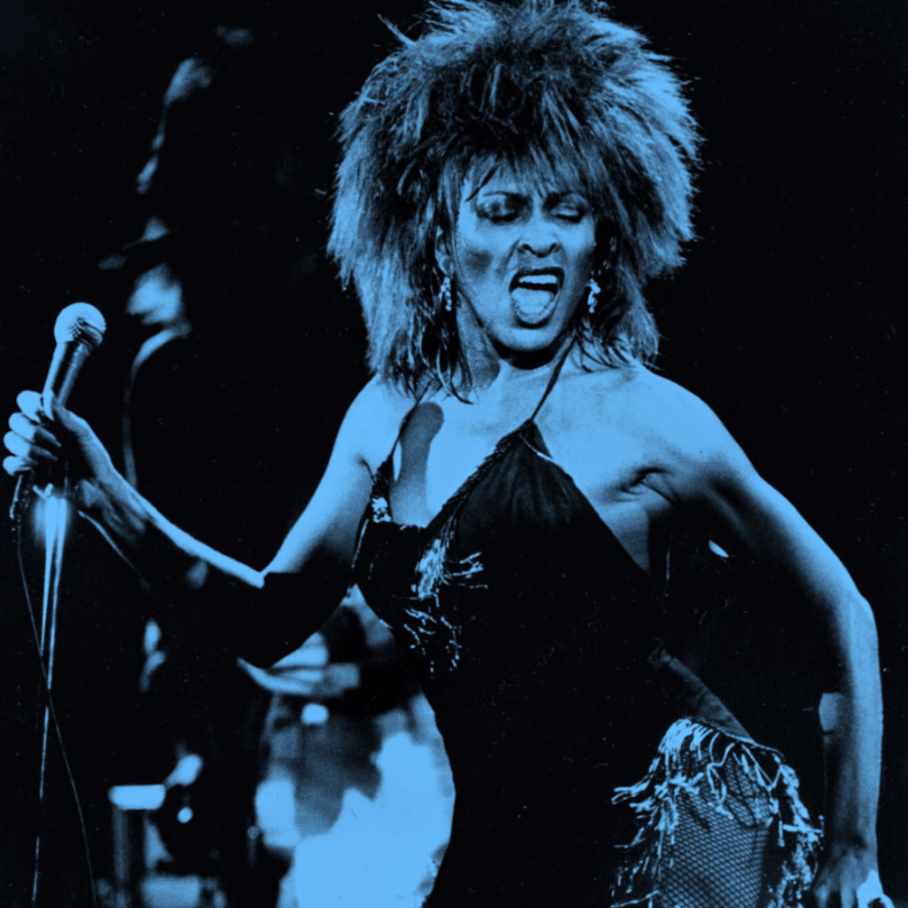 Tina Turner Tribute Show