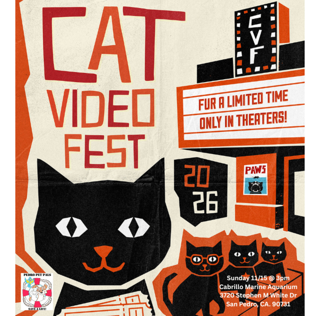 Cat Video Fest!