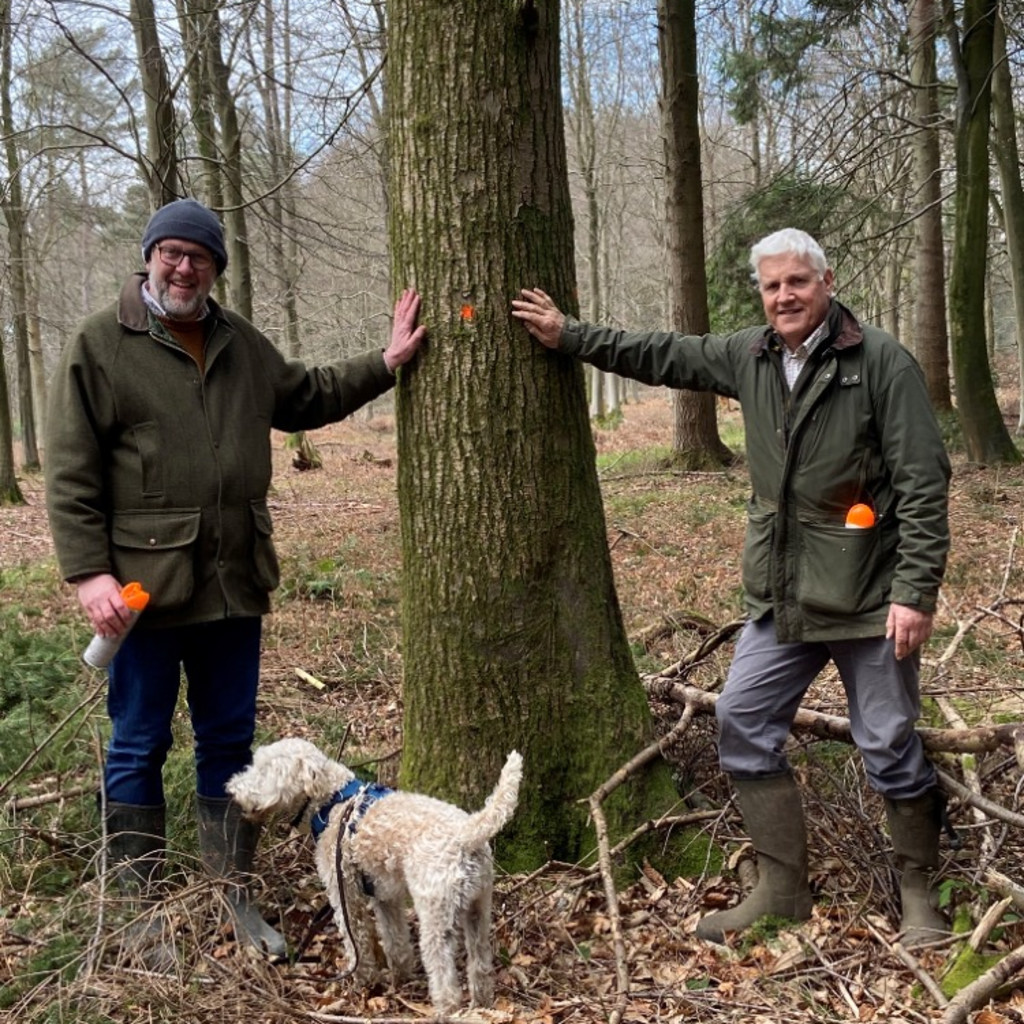 English Woodlands Timber Open Day