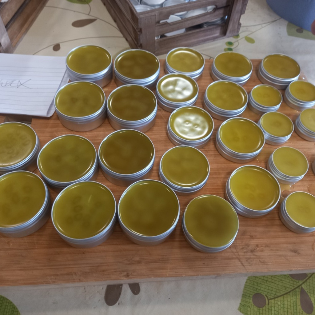 Climate Friendly Gardens - Wild Medicine and Balm Making