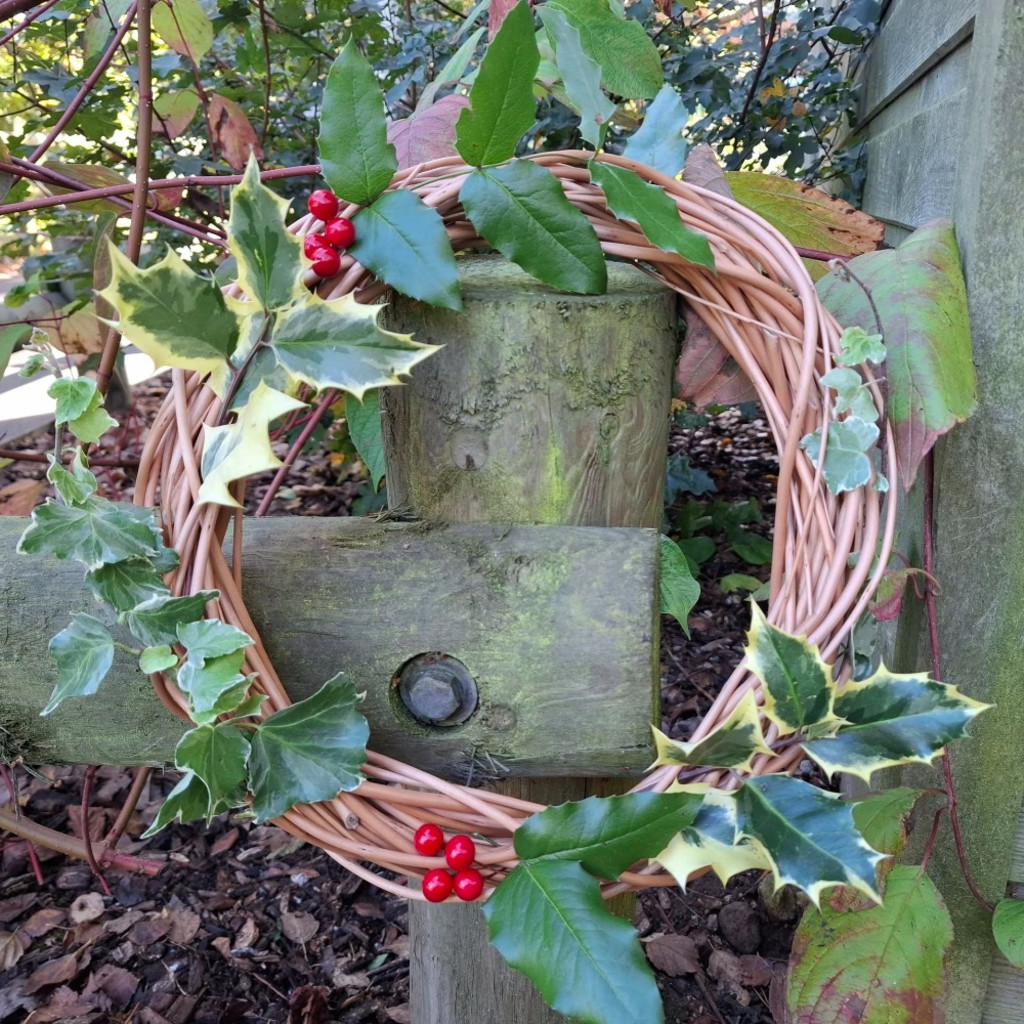 Willow Wreath