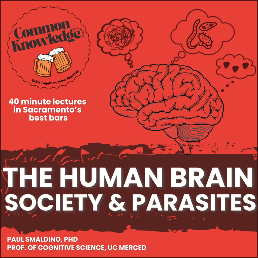 The Human Brain, Society & Parasites