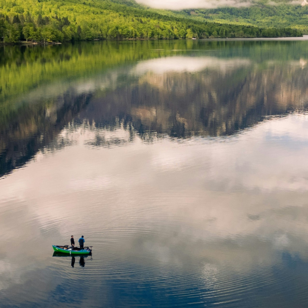 Deepening Presence and a Steady Heart: A Mindfulness Course for Coaches (Cohort 1)