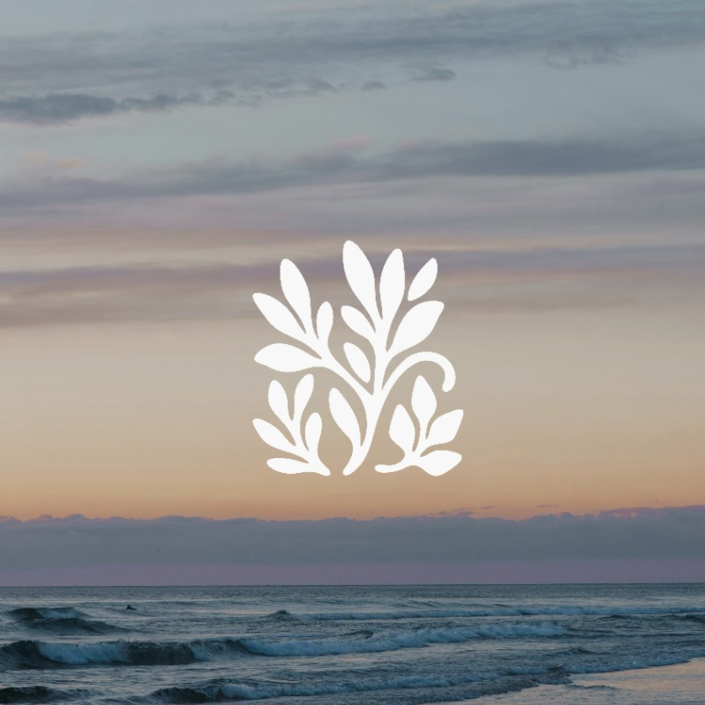 One Wild & Precious Life - A Day Retreat