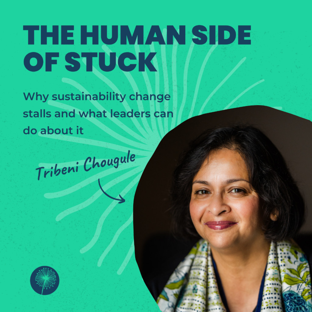 The Human Side of Stuck- Why sustainability change stalls and what leaders can do about it