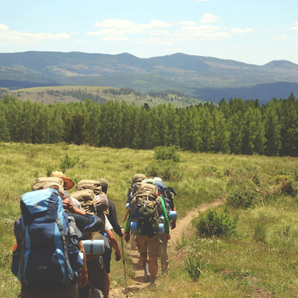 Carbon Literacy Training for 18 - 29 year olds, August 2026, by Gillian Rosh