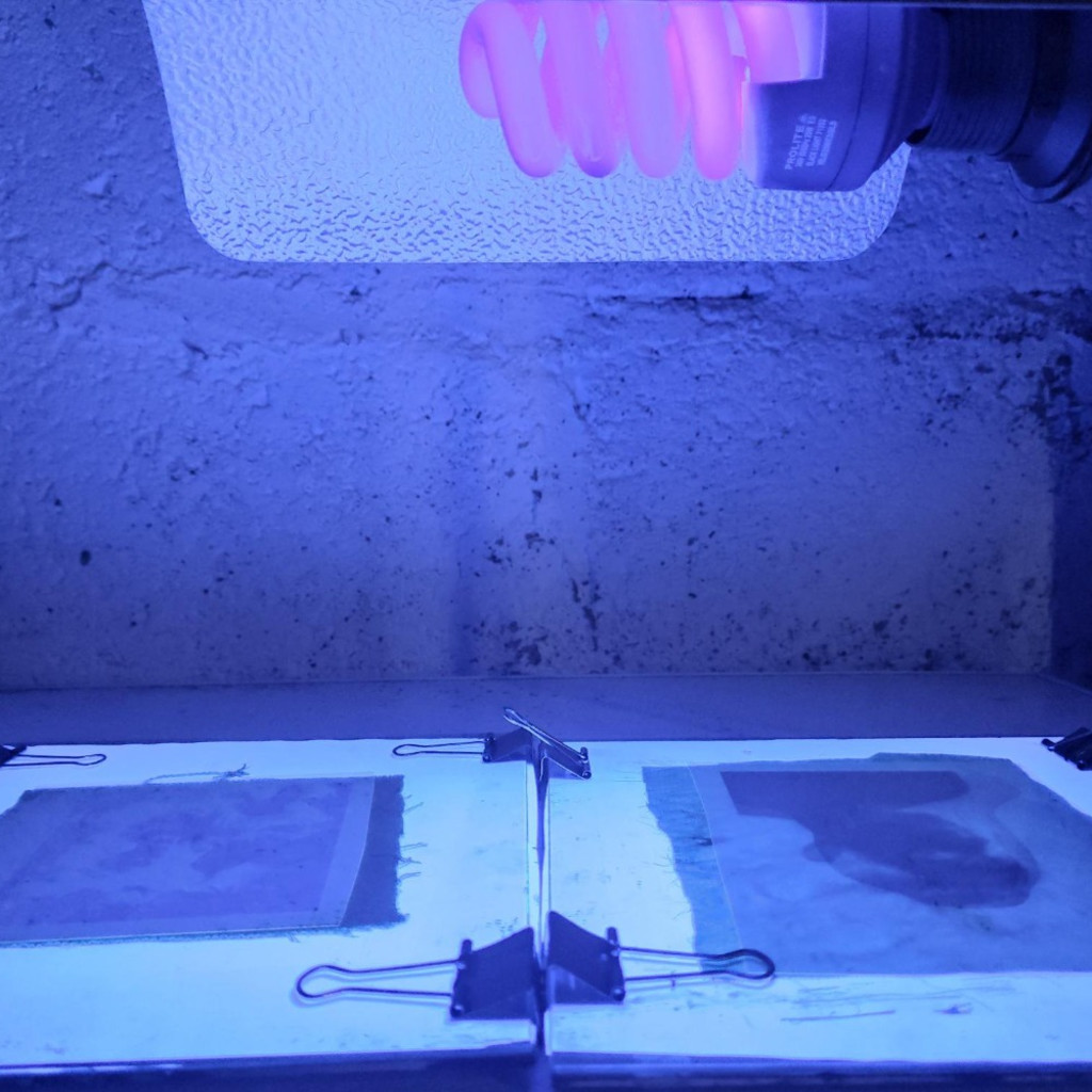 Cyanotype Masterclass with Jane Cummins