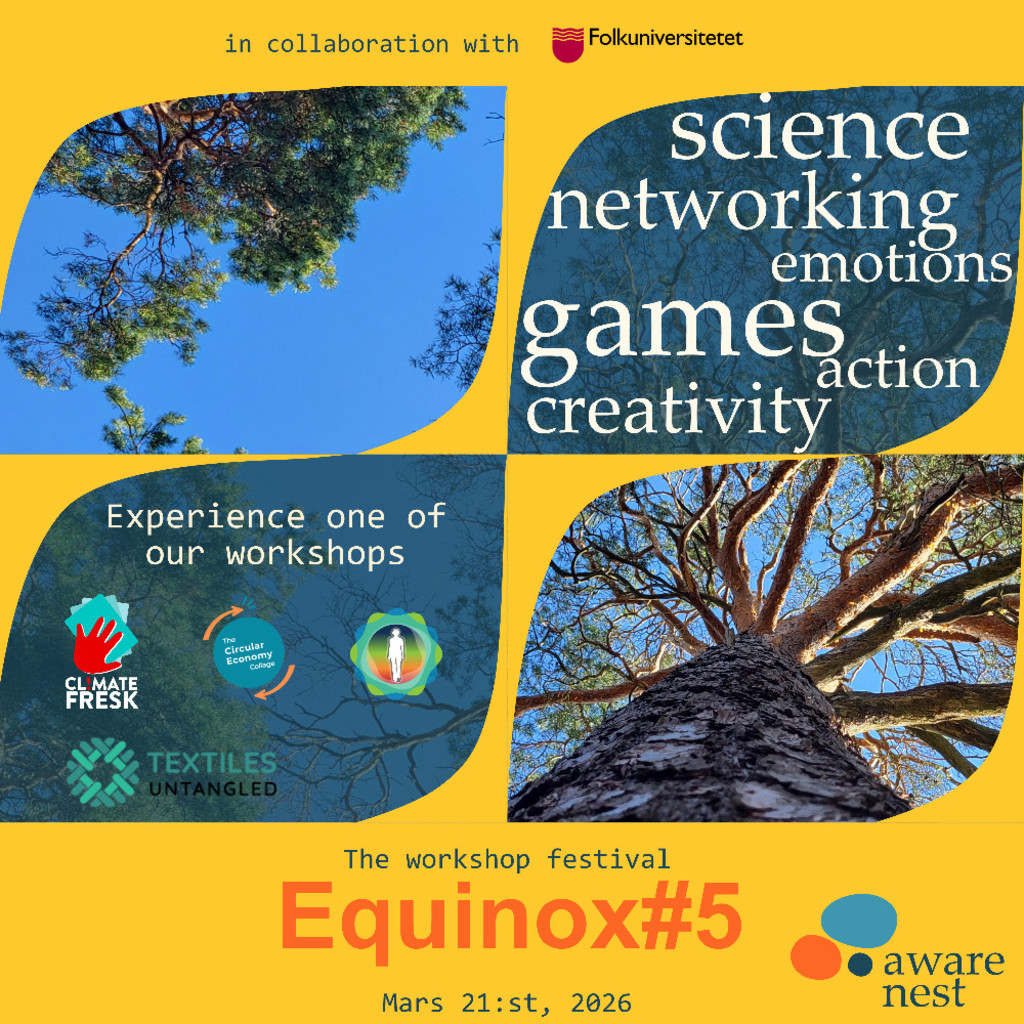 equinox#5
