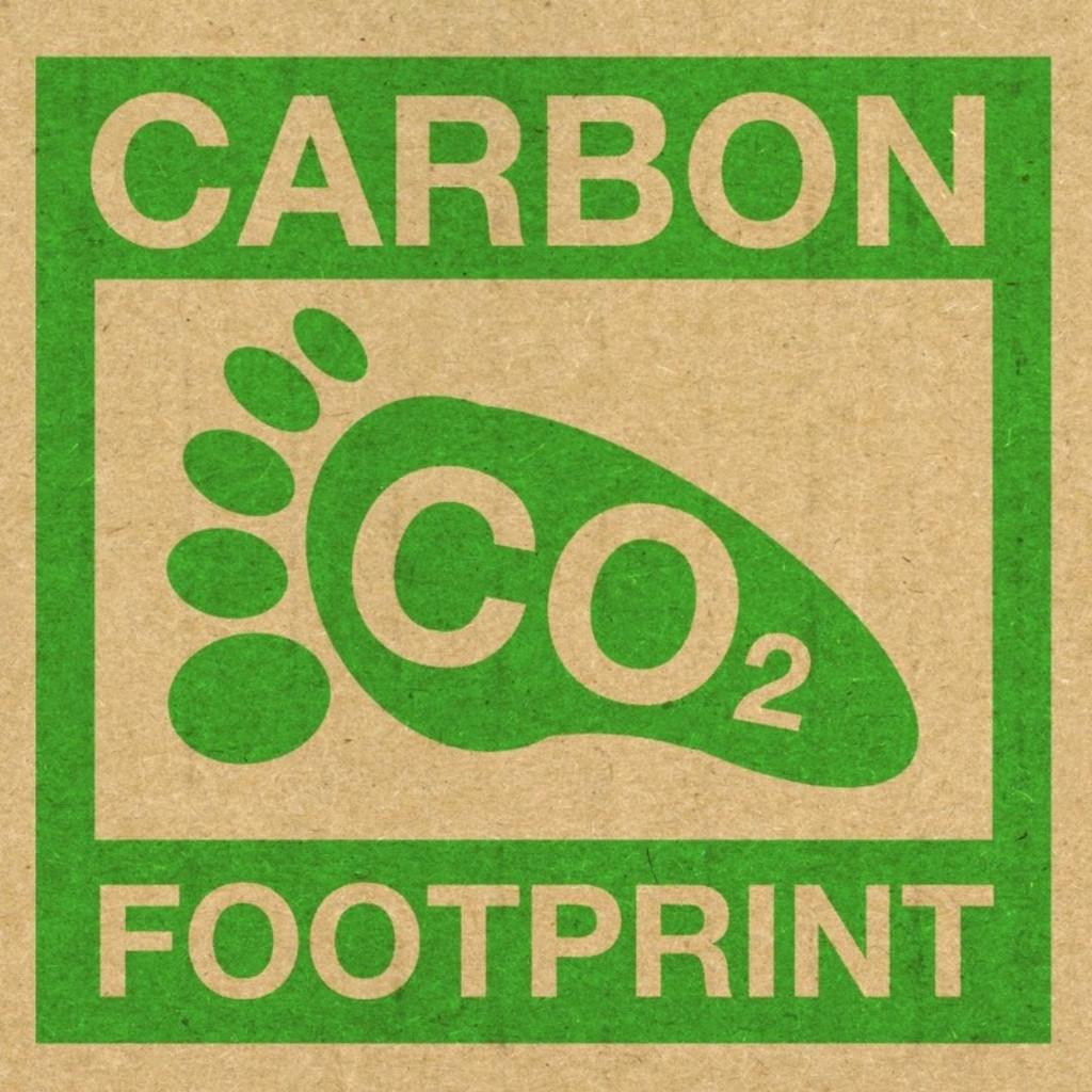Carbon Footprint Awareness Workshop - 7th November 2026 - £80