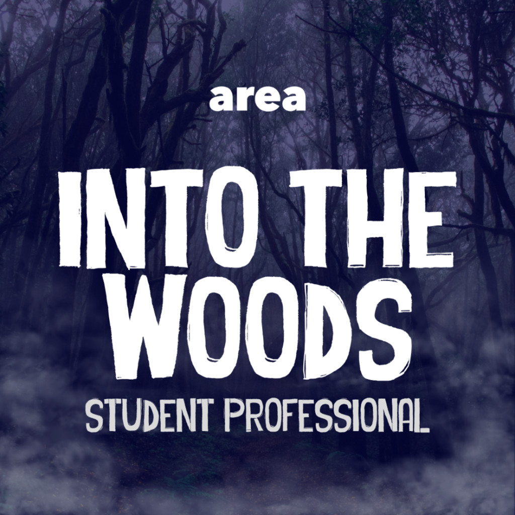 Into The Woods: Student Professional