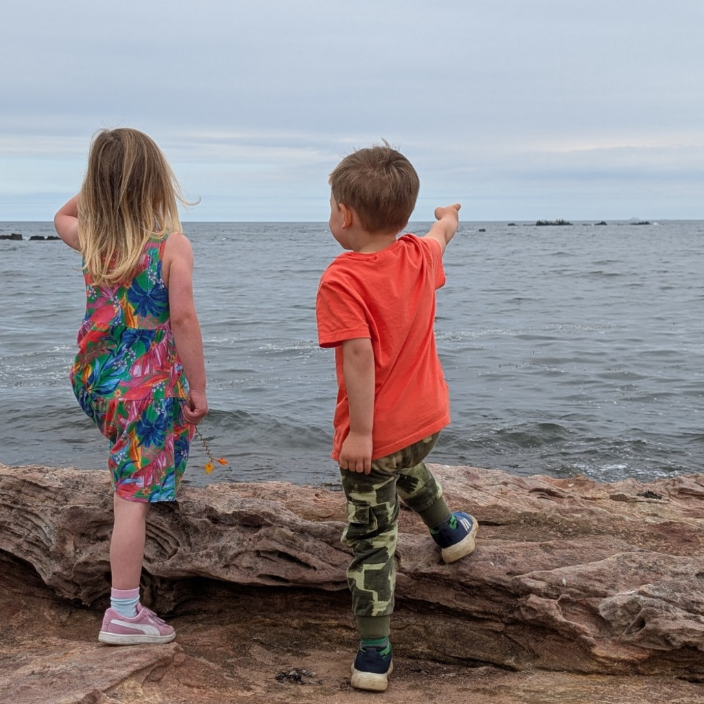 Family-friendly litter-picking at Seafield