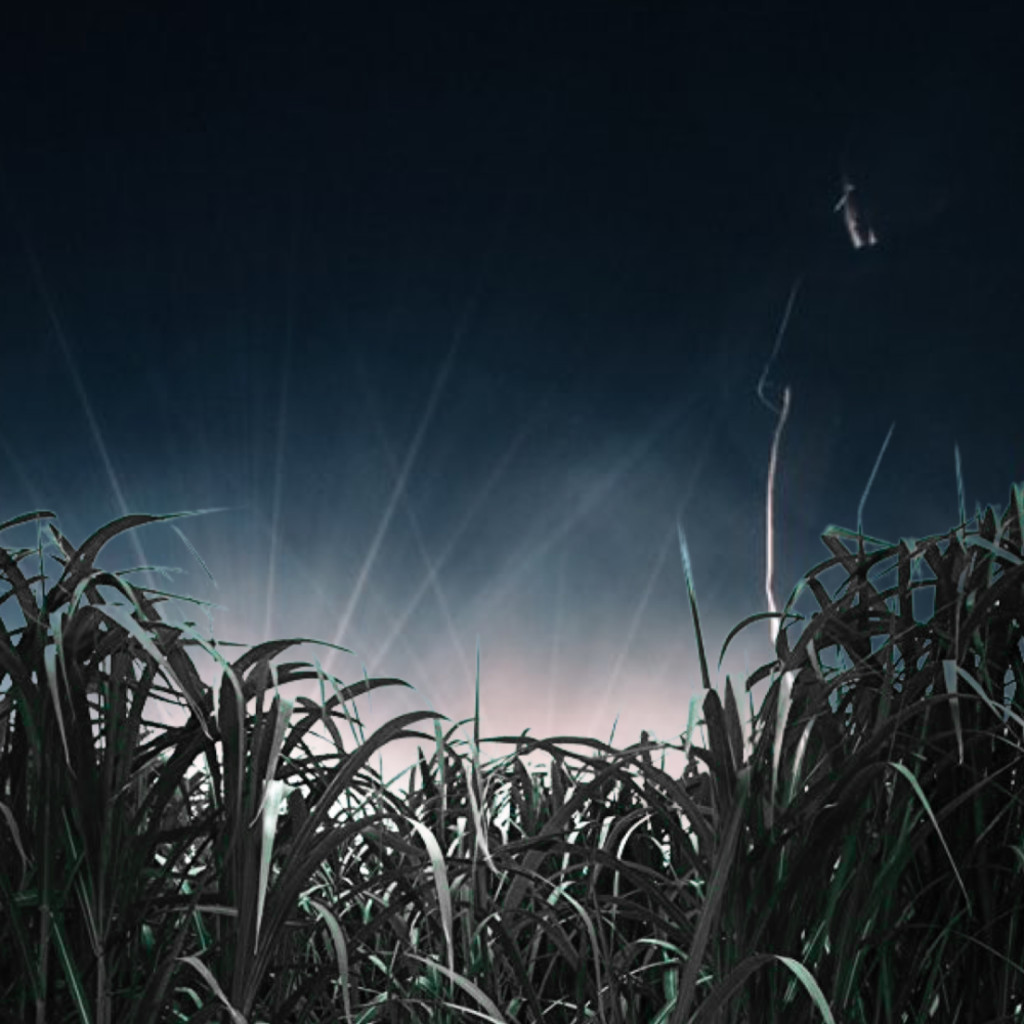 The Long Wet Grass (A Radio Play)