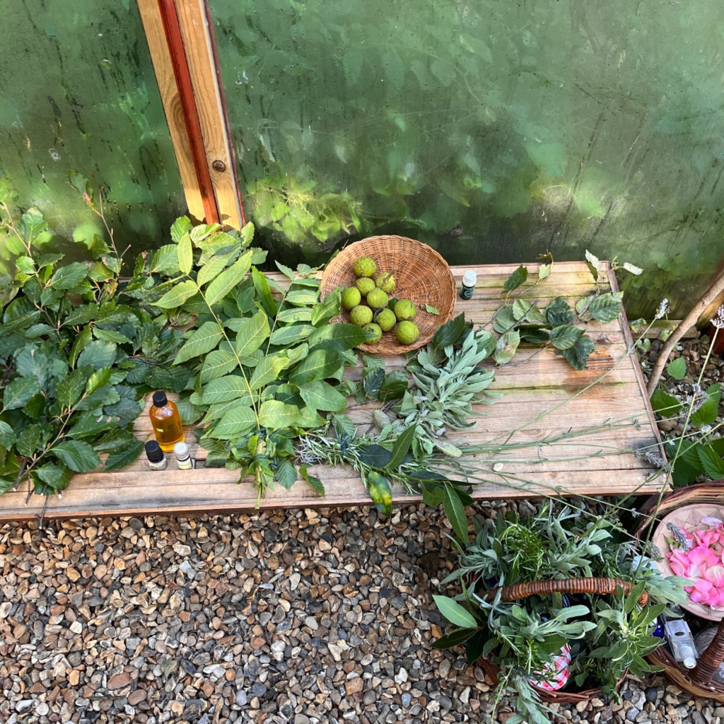 Sauna Storytelling One-Day Workshop - Friday 23rd August