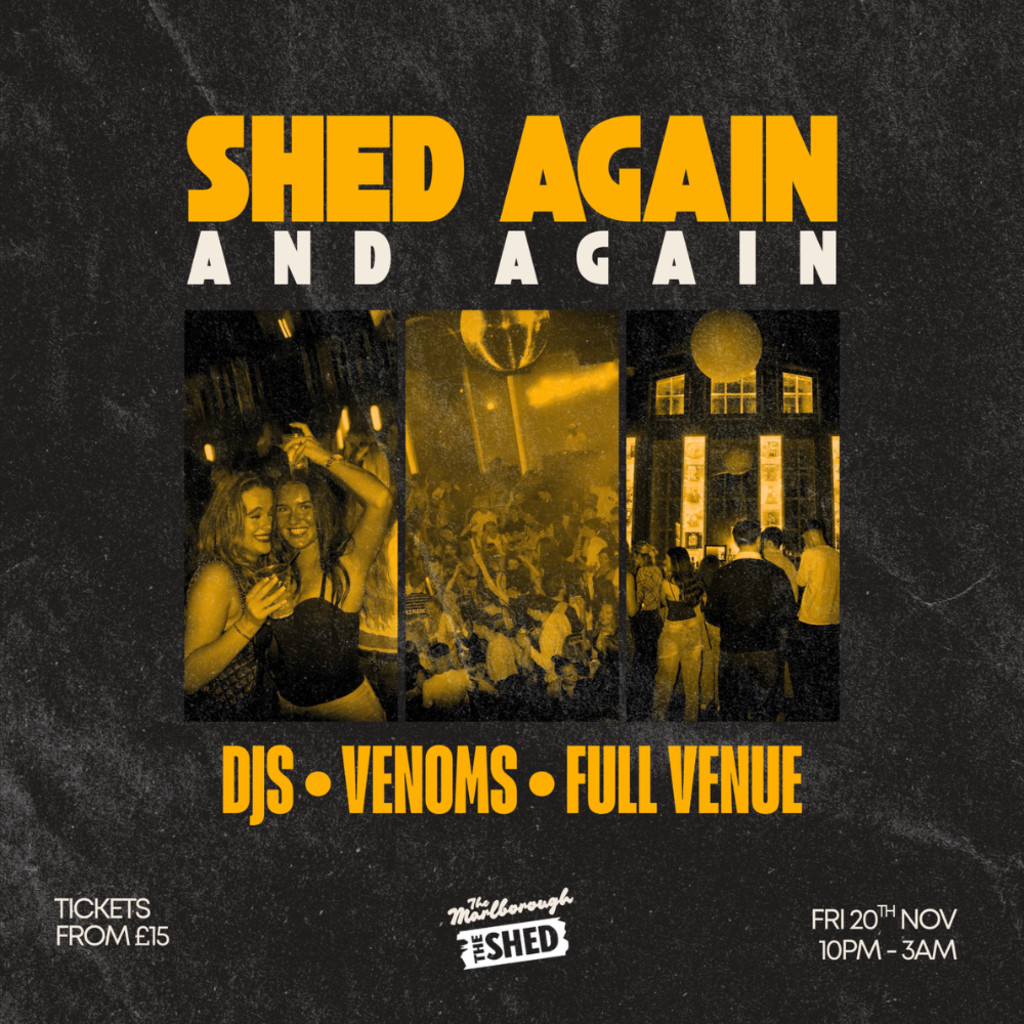 Shed: Again and AGAIN!