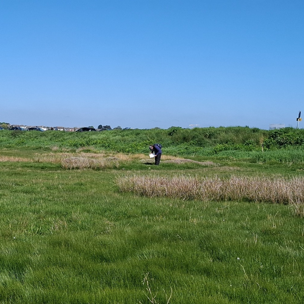 (WEBINAR) Ecological Data Standards