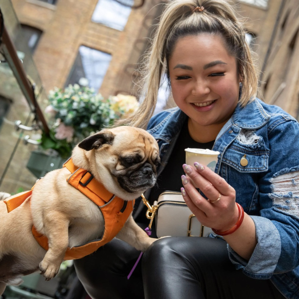 Pug Cafe - Derby