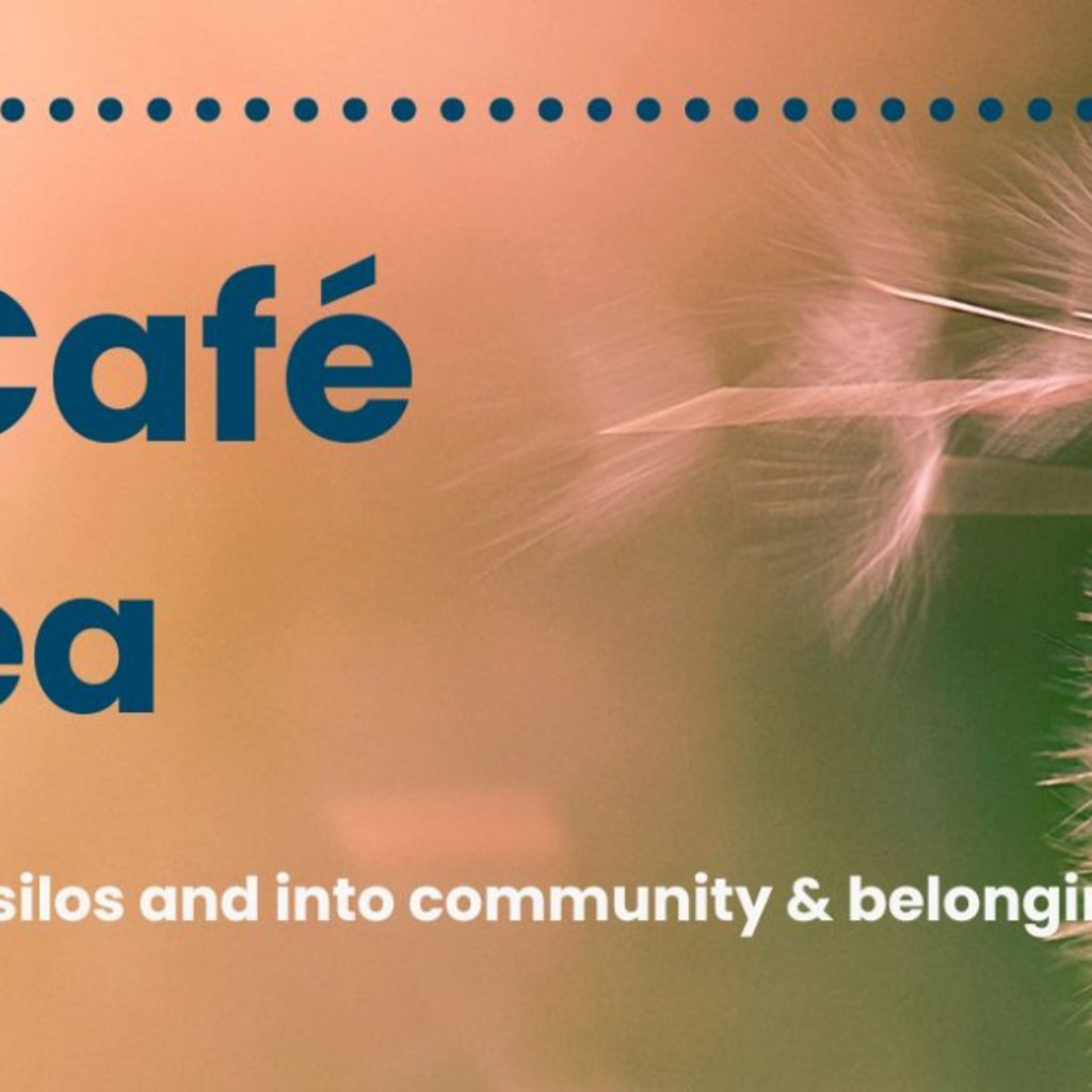 WINS Café Swansea, from Women in Sustainability Network, kindly hosted by The Environment Centre
