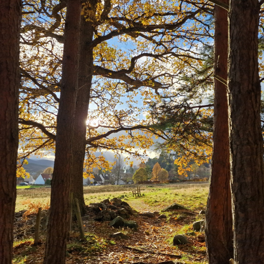 Flidais Retreat: A Women's ADHD Wellbeing Weekend