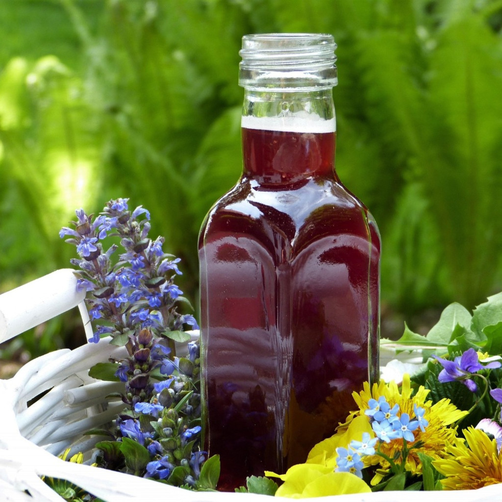 Autumn gin infusions and fruit vinegars at Ravenscraig Walled Garden