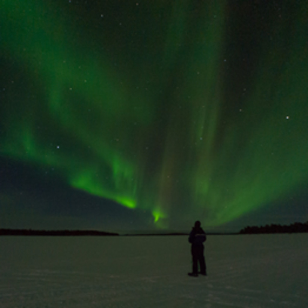 Aurora