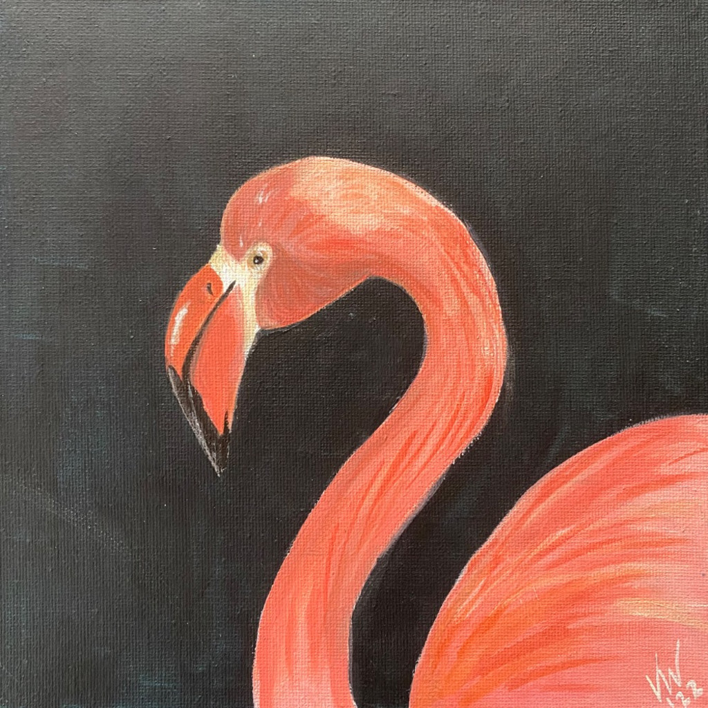 PAINT & SIP Evening at The Sheds: ”Frederick the Flamingo” Thursday 20th August 2026 6.30-9pm