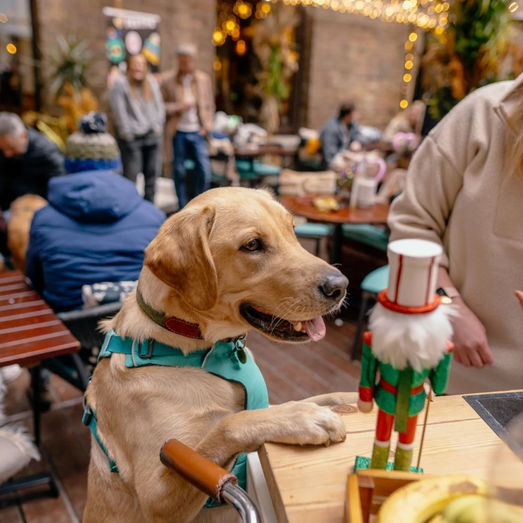 Labrador Cafe - London