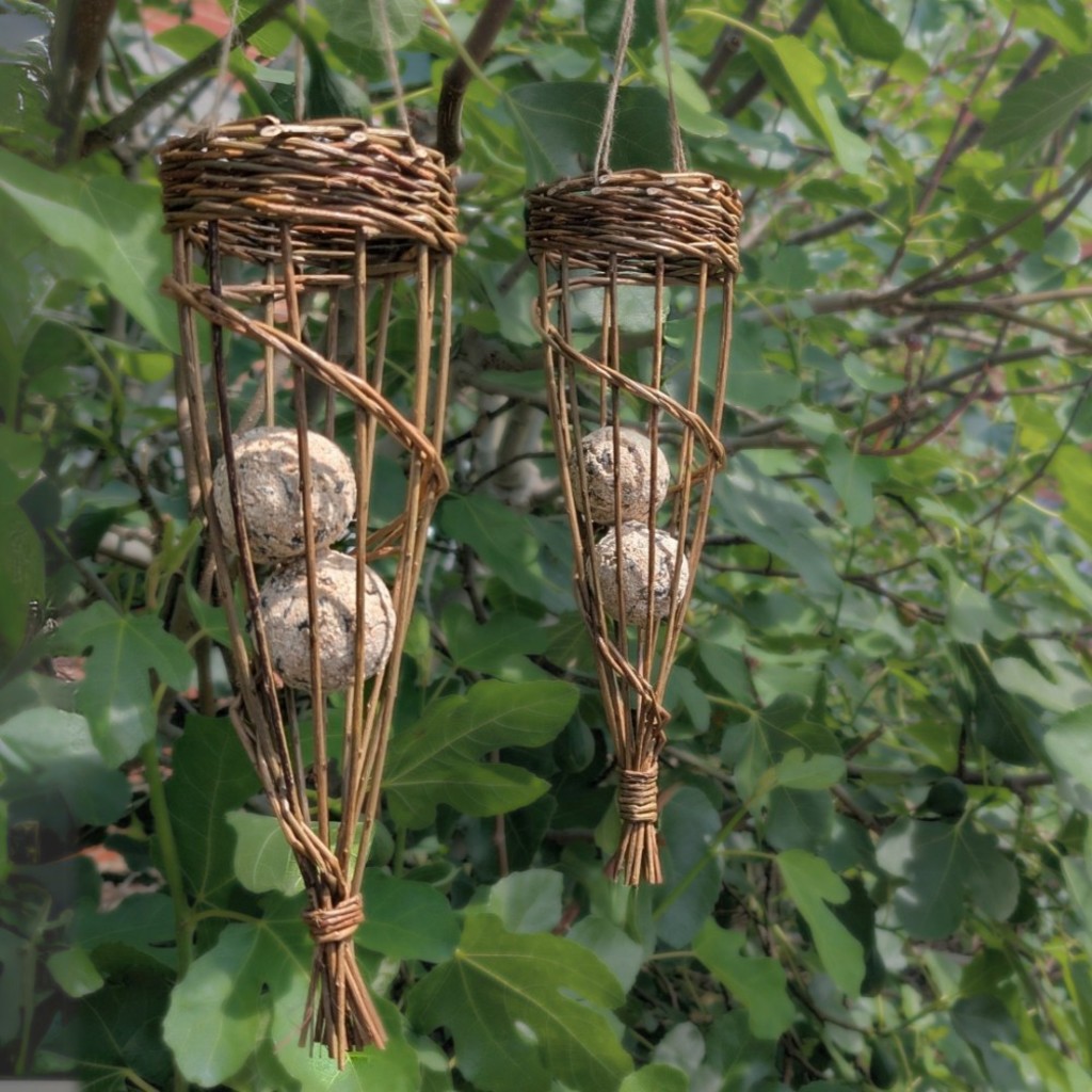 Willow Bird Feeder Workshop