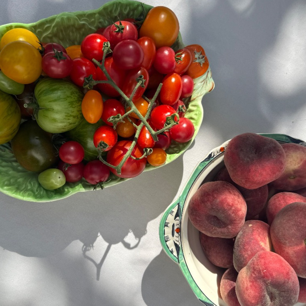 A large bowl of brightly coloured tomatoes beside a bowl of ripe nectarines