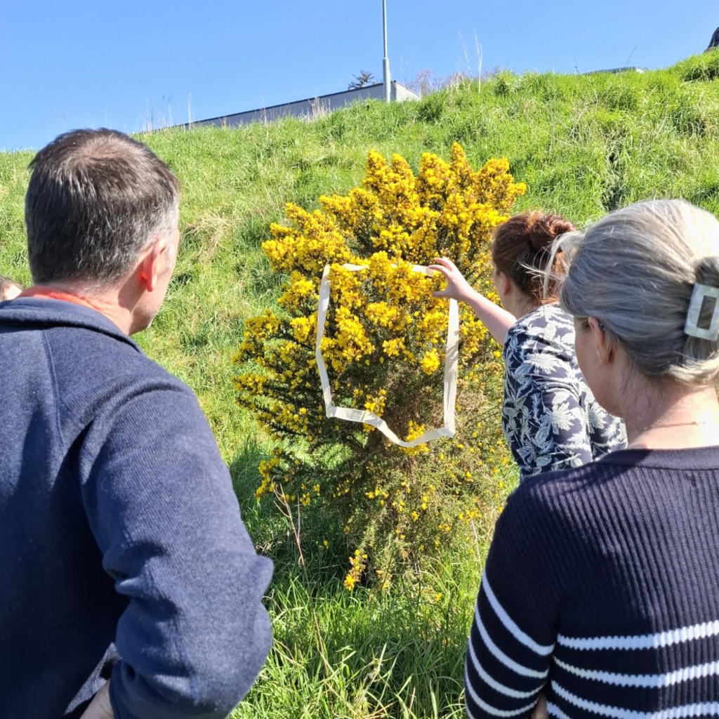(WEBINAR) FIT Counts: How to Monitor Pollinators in 10 Minutes