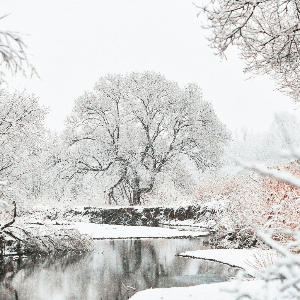 Rituals to Honour Winter – In-Person Workshop