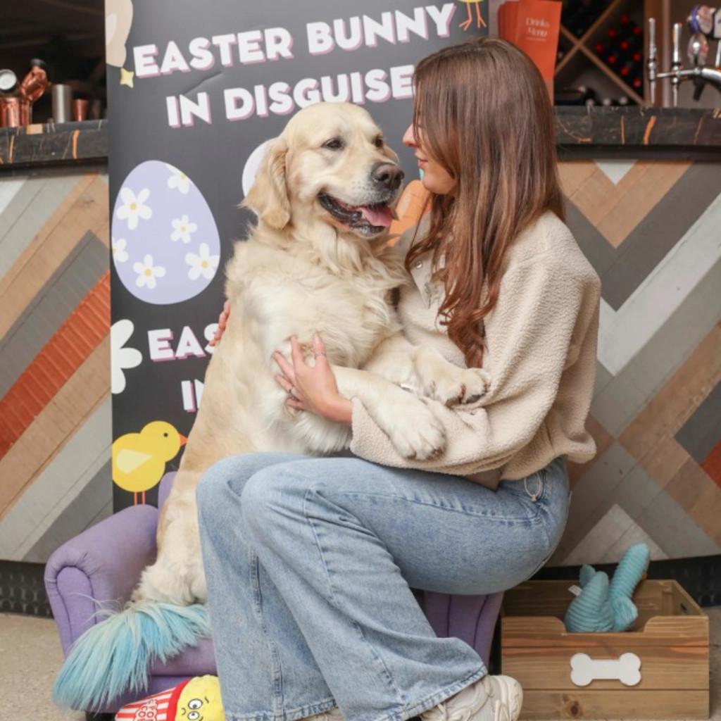 Golden Retriever Cafe - Glasgow